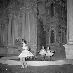 Scuola di danza Vanna Busolini Scuola di danza Vanna Busolini