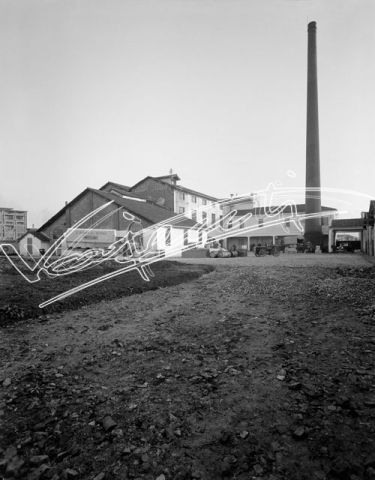 Farmaceutica Zambon. lastra di vetro - negativo bianco e nero fto mm 210x270