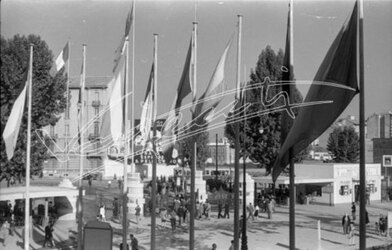 Fiera Campionaria di Vicenza 1946 Visita alla Fiera Campionaria di Padova