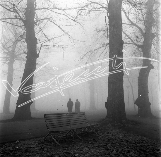 Campo Marzo. pellicola - negativo bianco e nero f.to mm 60x60