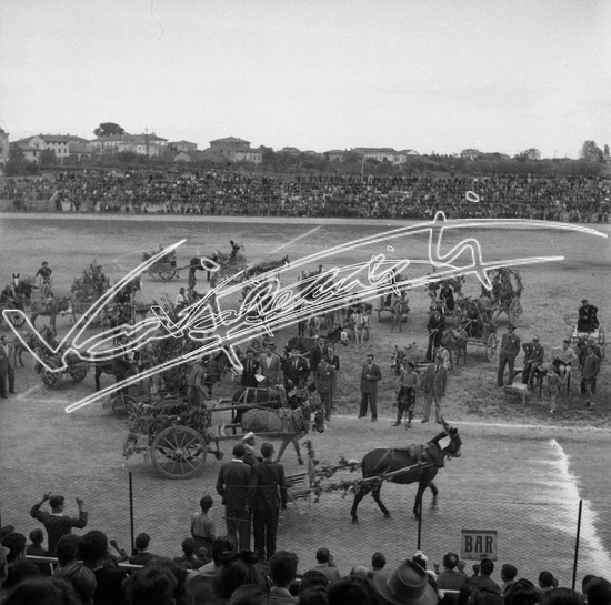 Gara dei Mussi: Campo Sportivo A. Rosmini. Pellicola - negativo bianco e nero fto mm 60x60