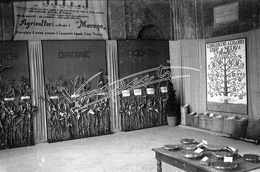 Fiera Campionaria di Vicenza 1946 Consorzio Agrario di Vicenza Fiera Campionaria di Vicenza 1946 Consorzio Agrario di Vicenza