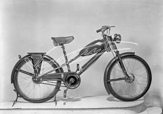 Cicli GOTT : di Chemello e Cappelletti. 