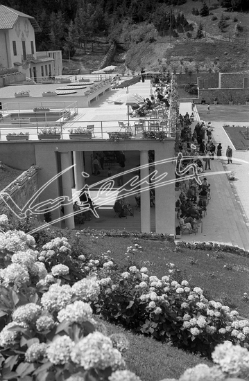 Demanio Acque di Recoaro. Pellicola - negativo bianco e nero f.to mm 60x90