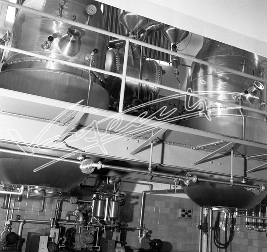 Demanio Acque di Recoaro. Pellicola - negativo bianco e nero - f.to mm 60x60