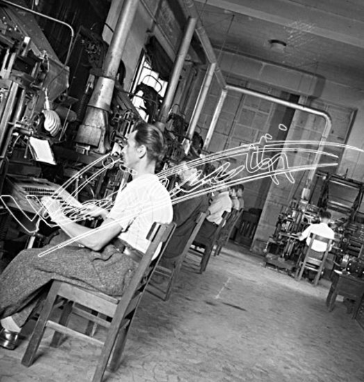 Il Giornale di Vicenza : Tipografia. pellicola - negativo bianco e nero fto mm 60x60