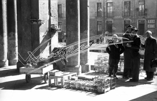 Piazza delle Erbe. pellicola - negativo bianco e nero fto mm 24X36