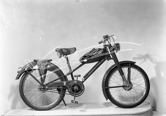 Cicli GOTT : di Chemello e Cappelletti. 