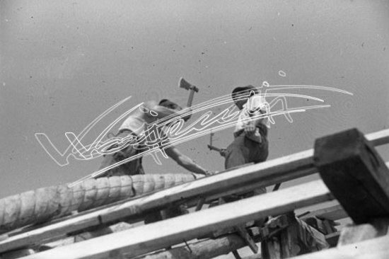 Basilica Palladiana : restauro 1947-1951. pellicola-negativo bianco e nero-24X36