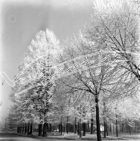 Campo Marzo. pellicola - negativo colore f.to mm 60x60