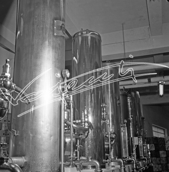 Demanio Acque di Recoaro. Pellicola - negativo bianco e nero - f.to mm 60x60