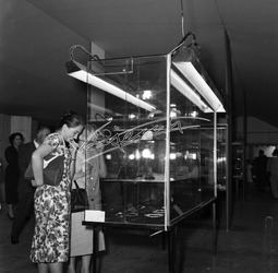 Fiera Campionaria di Vicenza 1959 Pubblico