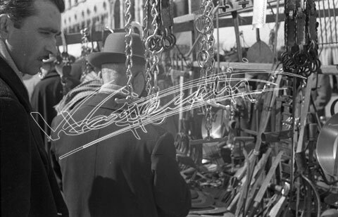 Piazza dei Signori. pellicola - negativo bianco e nero fto mm 24X36