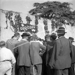 Fiera Campionaria di Vicenza 1946 Campo Marzo Fiera Campionaria di Vicenza 1946 Campo Marzo