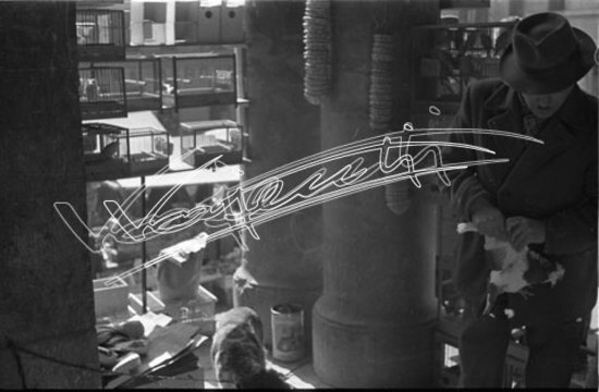 Piazza delle Erbe. pellicola - negativo bianco e nero fto mm 24X36