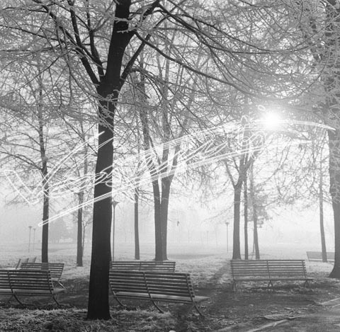 Campo Marzo. pellicola - negativo bianco e nero fto mm 60x60