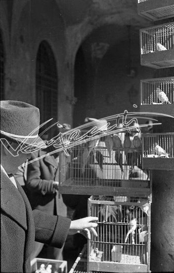 Piazza delle Erbe. pellicola - negativo bianco e nero fto mm 24X36