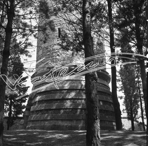 Torre Ezzelina. pellicola - negativo bianco e nero fto mm 60x60