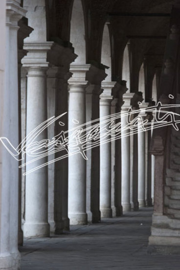 Basilica Palladiana. file