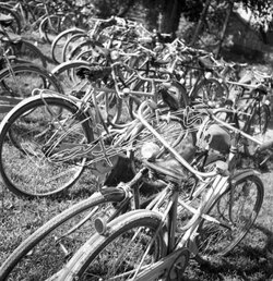 Fiera Campionaria di Vicenza 1946 Biciclette