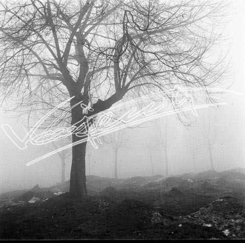 Campo Marzo. pellicola - negativo bianco e nero fto mm 60x60