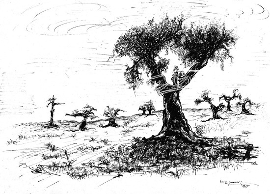 Vajenti - La storia. Pellicola - negativo bianco e nero fto mm 240X300