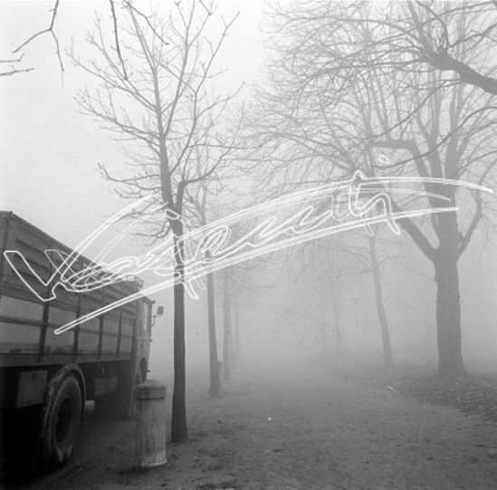 Campo Marzo. pellicola - negativo bianco e nero fto mm 60x60