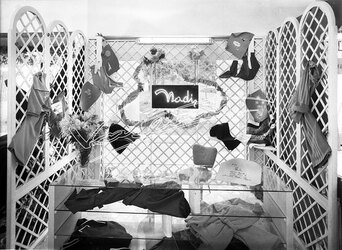 Fiera Campionaria di Vicenza 1949 Stand Nadi Fiera Campionaria di Vicenza 1949 Stand Nadi