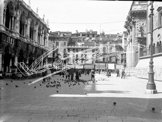 Piazza dei Signori. lastra di vetro - negativo bianco e nero fto mm 90x120