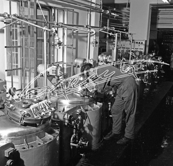 Demanio Acque di Recoaro. Pellicola - negativo bianco e nero - f.to mm 60x60