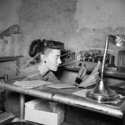 Fiera Campionaria di Vicenza 1951