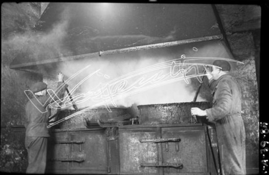 Ditta Tostato Brasil. pellicola - negativo bianco e nero fto mm 60x80