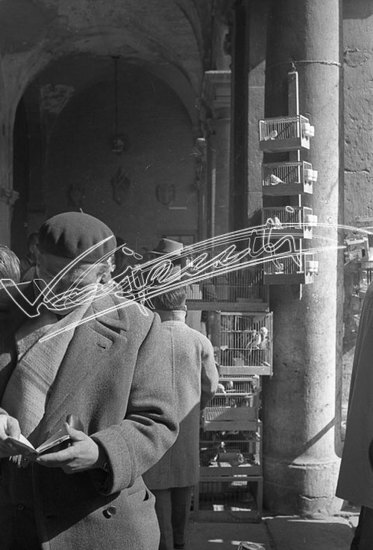 Piazza delle Erbe. pellicola - negativo bianco e nero fto mm 24X36