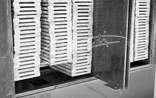 Farmaceutica Zambon. pellicola - bianco e nero fto mm 60x90