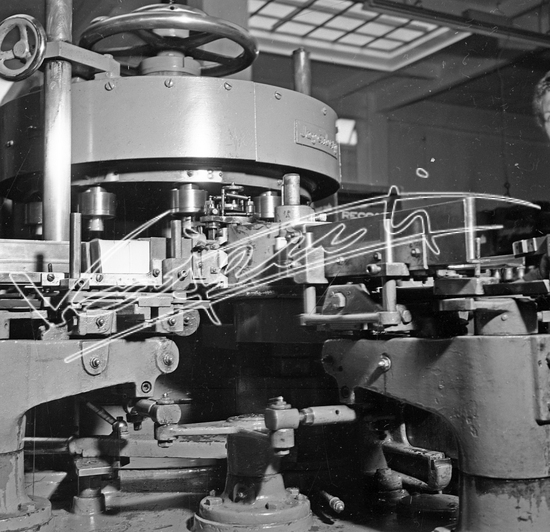 Demanio Acque di Recoaro. Pellicola - negativo bianco e nero - f.to mm 60x60