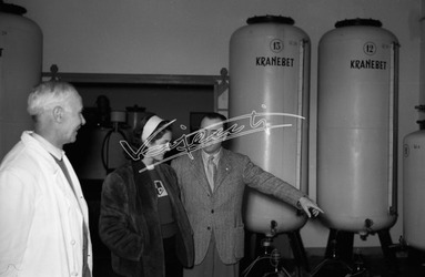 Anna Maria Bugliari Miss Italia 1950 51 Distilleria Fratelli Rossi di Asiago