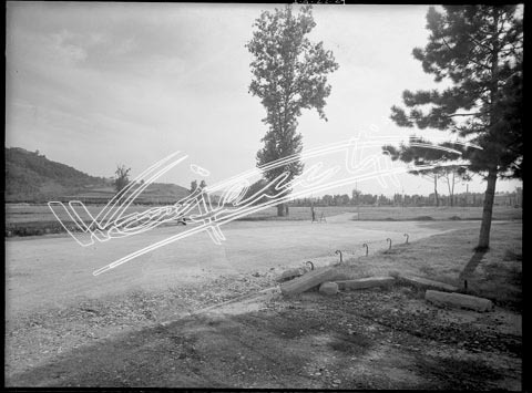 Campo Marzo. lastra di vetro - negativo bianco e nero fto mm 180x240