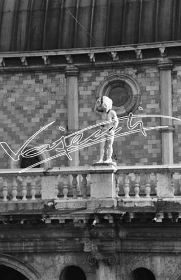 Basilica Palladiana. pellicola - negativo bianco e nero fto mm 60x90