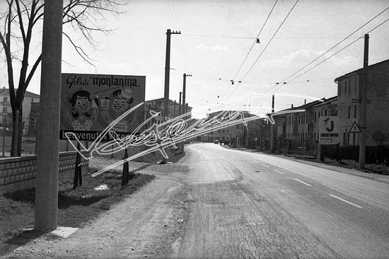 Vicenza: Viale Trento. Pellicola - negativo bianco e nero f.to mm 24X36