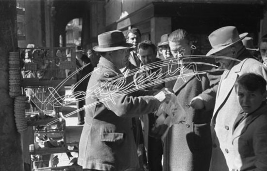 Piazza delle Erbe. pellicola - negativo bianco e nero fto mm 24X36