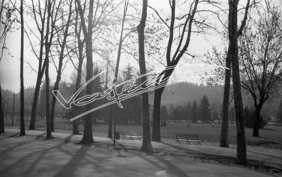 Campo Marzo. pellicola - negativo bianco e nero f.to mm 24x36
