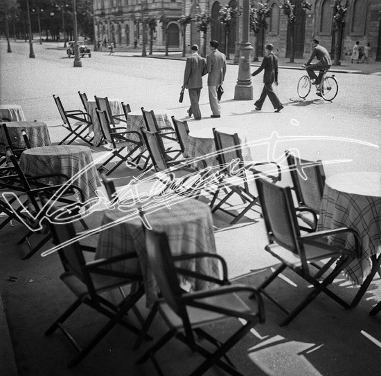 Viale roma. Pellicola - negativo bianco e nero f.to mm 60x60