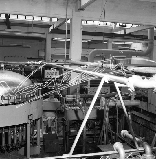 Demanio Acque di Recoaro. Pellicola - negativo bianco e nero - f.to mm 60x60