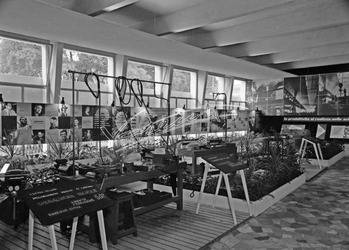 Fiera Campionaria di Vicenza 1953 Mostra della Produttività Fiera Campionaria di Vicenza 1953 Mostra della Produttività