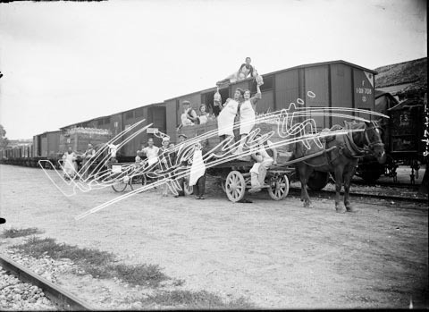 Vinicola Cattani. lastra di vetro - negativo bianco e nero fto mm 130x180