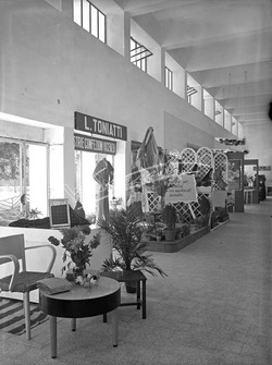 Fiera Campionaria di Vicenza 1949 Padiglione della Lana Fiera Campionaria di Vicenza 1949 Padiglione della Lana