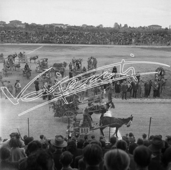 Gara dei Mussi: Campo Sportivo A. Rosmini. Pellicola - negativo bianco e nero fto mm 60x60