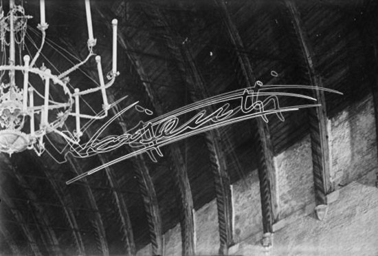 Basilica Palladiana. lastra di vetro - negativo bianco e nero fto mm 100x150