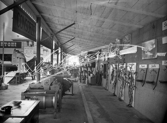 Fiera Campionaria di Vicenza 1949 : Consorzio Agrario di Vicenza. lastra di vetro - negativo bianco e nero fto mm 180x240