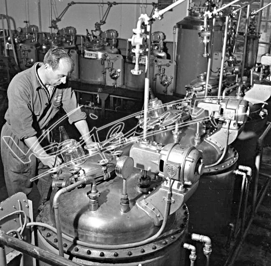 Demanio Acque di Recoaro. Pellicola - negativo bianco e nero - f.to mm 60x60